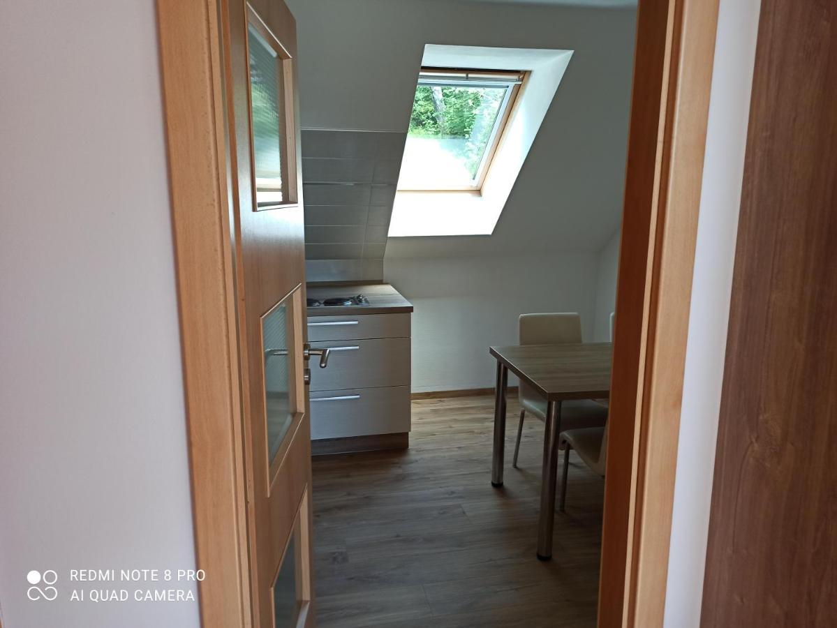 Apartmá Na Lipně Horni Plana Exterior foto